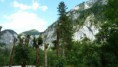 /album/weichselboden-wildalpen/a1000107-555558457819658-1198659775-n-jpg/
