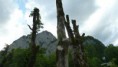 /album/weichselboden-wildalpen/a1010542-555558521152985-396579829-n-jpg/