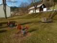 /album/jatszoter-mariazell/a18026-525203350855169-177747003-n-jpg/